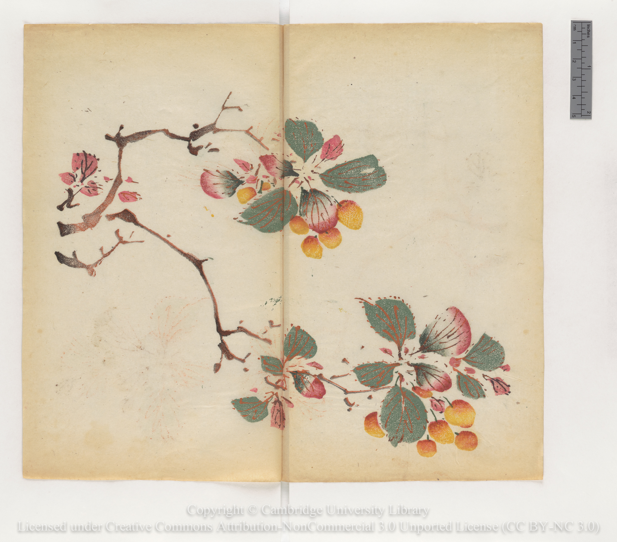 CHINESE CALIGRAPHY