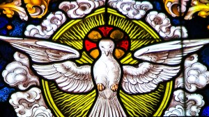DOVE IN STAINGLASS