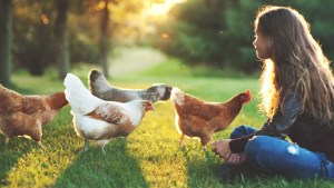 Child with Chickens