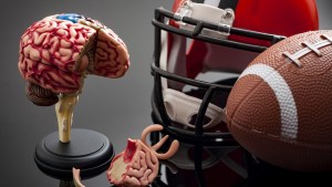 FOOTBALL - CTE