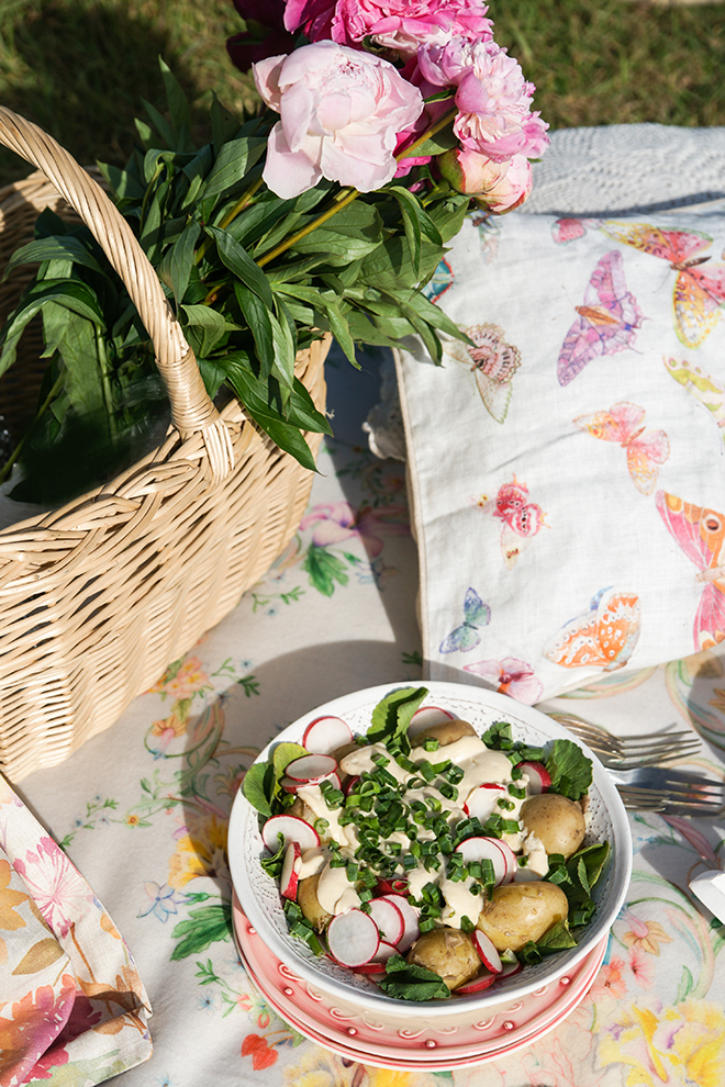 PICNIC FOOD