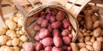 Potatoes in Baskets