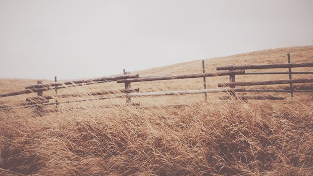FENCE