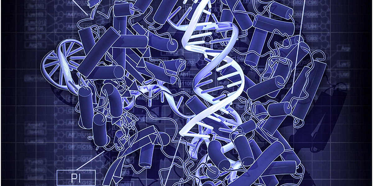 CAS9 DIAGRAM