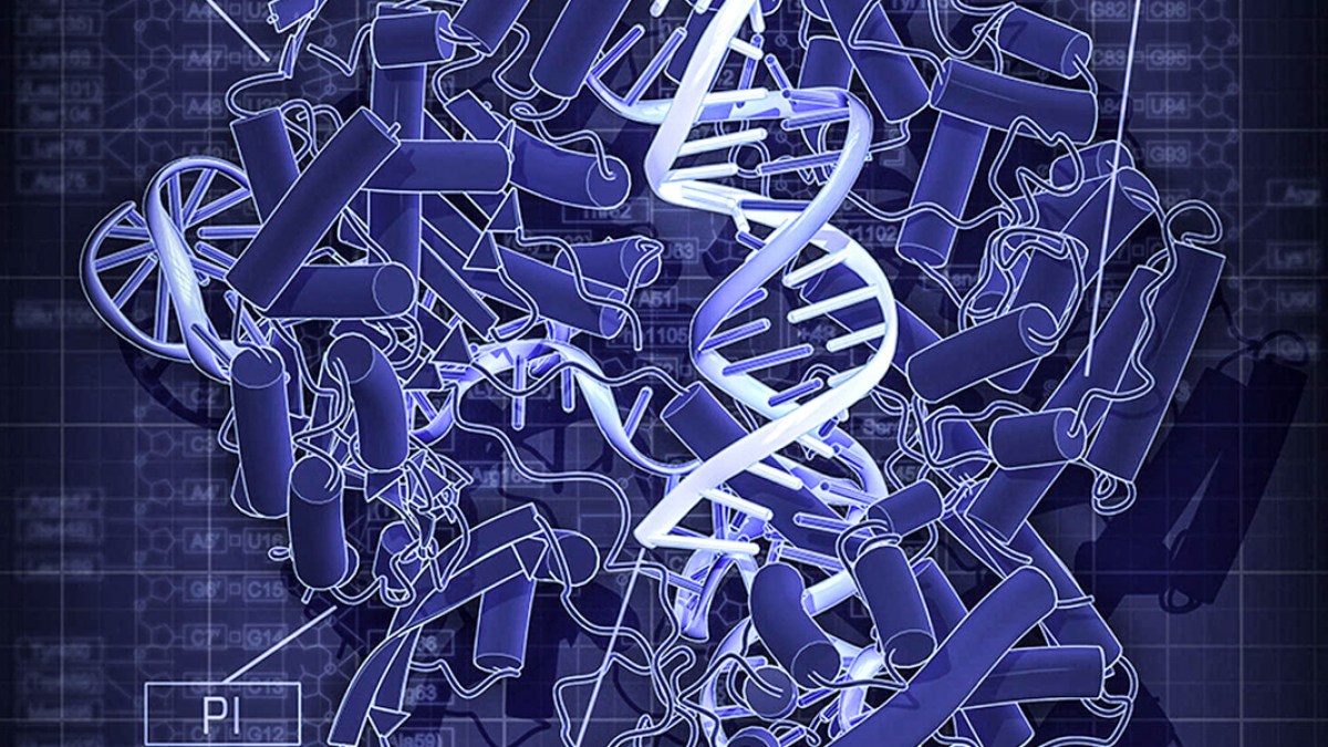 CAS9 DIAGRAM