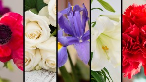 FLOWERS,CHRISTIAN MEANING