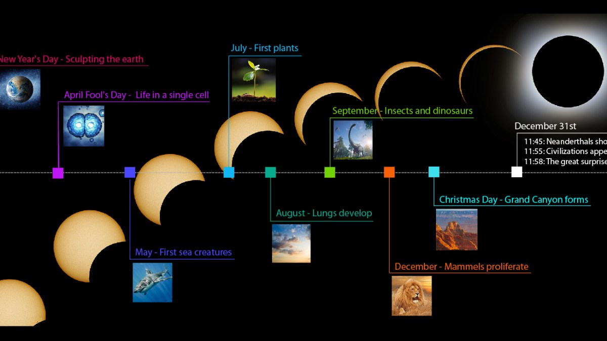 ECLIPSE TIMELINE