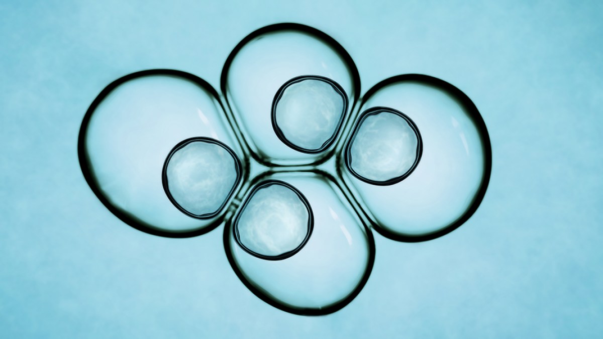 web3-human-embryo-dna-genetic-shutterstock