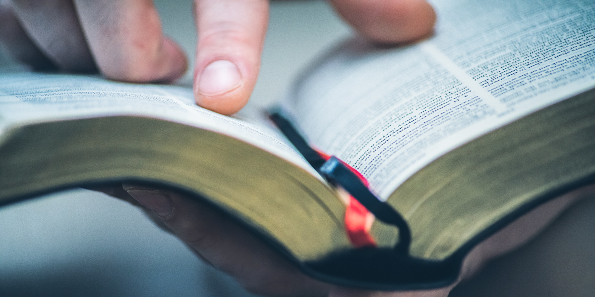 Catholic guide to reading the Bible