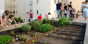 Urban gardens are on the rise &#8212; and here&#8217;s how easy they are