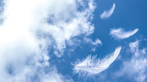 FEATHERS IN SKY