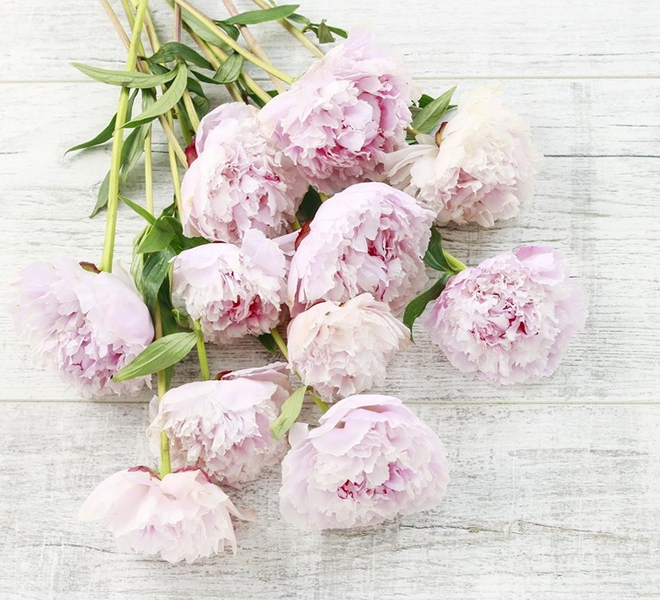 Peony Bouquet