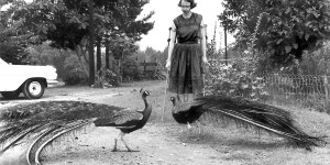 Reading Flannery O’Connor in our times