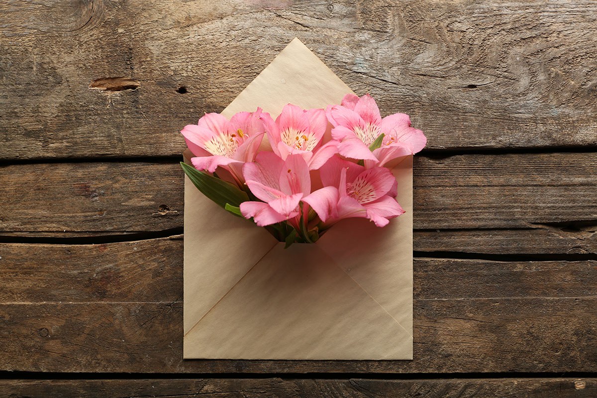 ENVELOPE