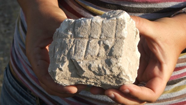 ANCIENT BOARD GAME