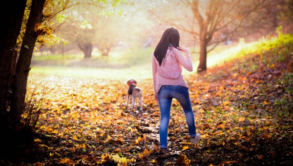AUTUMN WALK WITH DOG