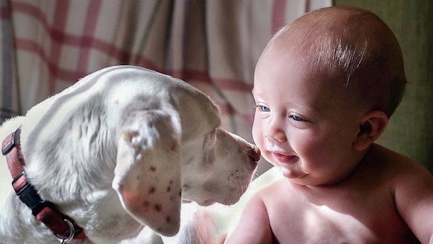 Baby and Rescue Dog