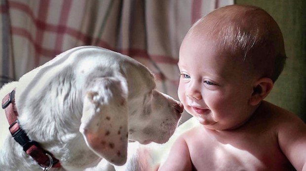 Baby and Rescue Dog
