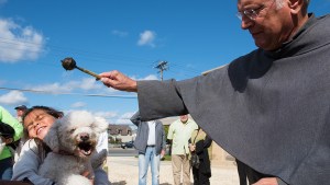 BLESSING OF THE ANIMALS