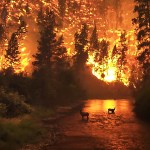 The deadliest fire in U.S. history was no match for the Blessed Mother