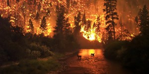 The deadliest fire in U.S. history was no match for the Blessed Mother