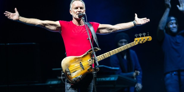 Sting: There is no rose of such virtue--Aleteia - Vimarsana News