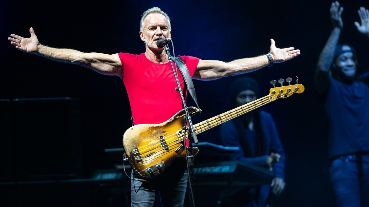 Sting the musician