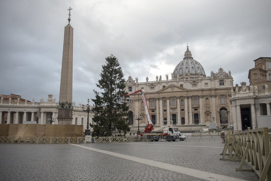 Christmas tree St Peter