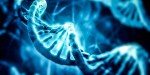 DIGITAL DNA