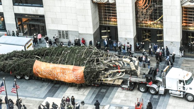 ROCKEFELLER CHRISTMAS TREE