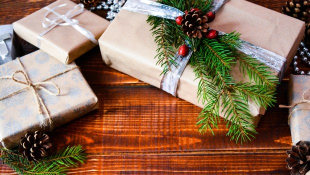 CHRISTMAS PRESENT