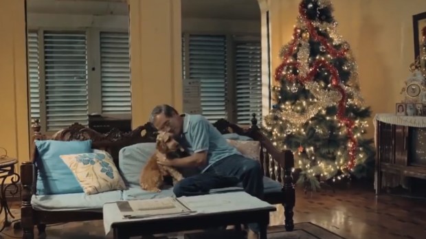 CHRISTMAS COMMERCIAL,STRAY DOG