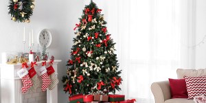 Why are green and red the colors of Christmas?