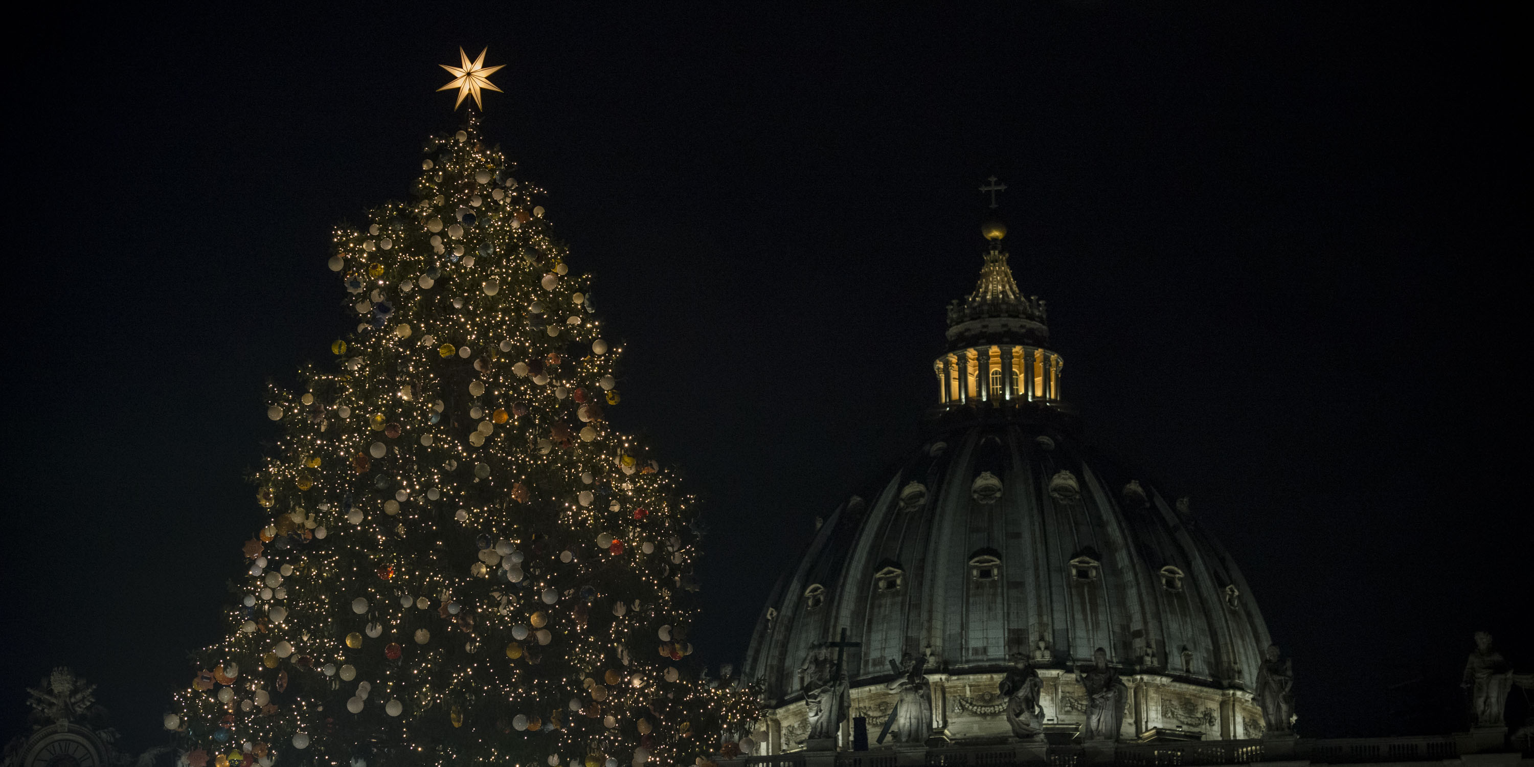 VATICAN; CHRISTMAS; TREE;