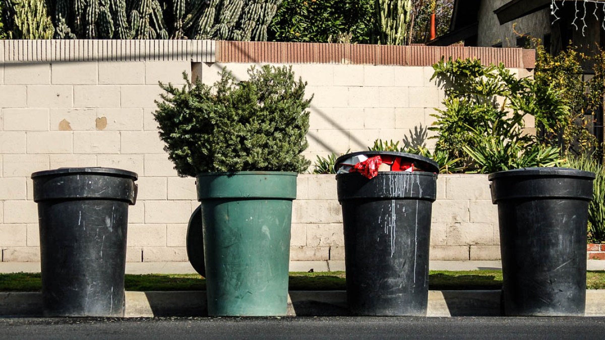 CHRISTMAS TREE IN TRASH CAN