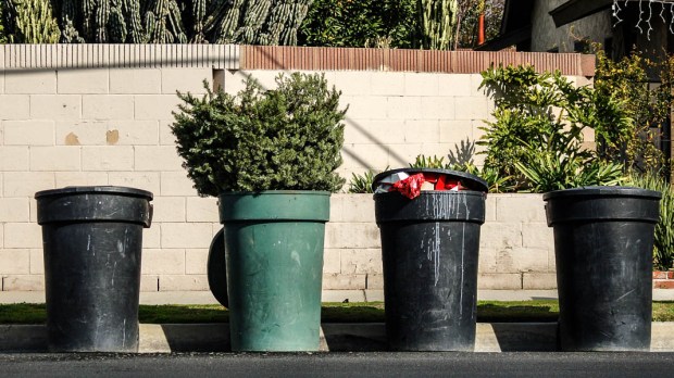 CHRISTMAS TREE IN TRASH CAN