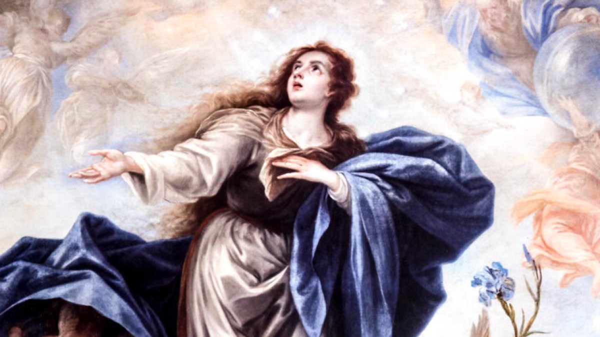 THE IMMACULATE CONCEPTION