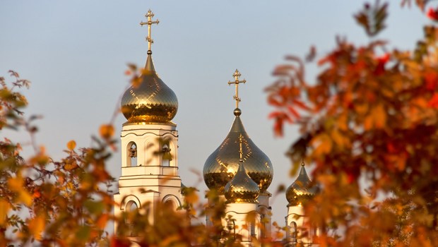 Orthodox Church