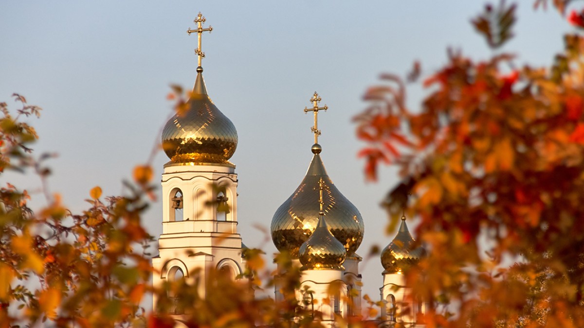 Orthodox Church