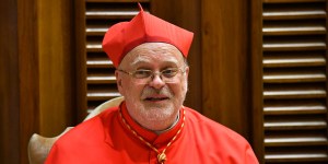 Cardinal: Good News includes Church’s message on sexual matters