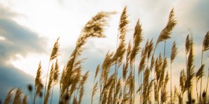 How (and why) to hear the voice of God