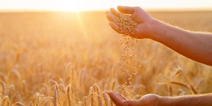 Pope shows how Eucharist is foundation of our need to care for earth