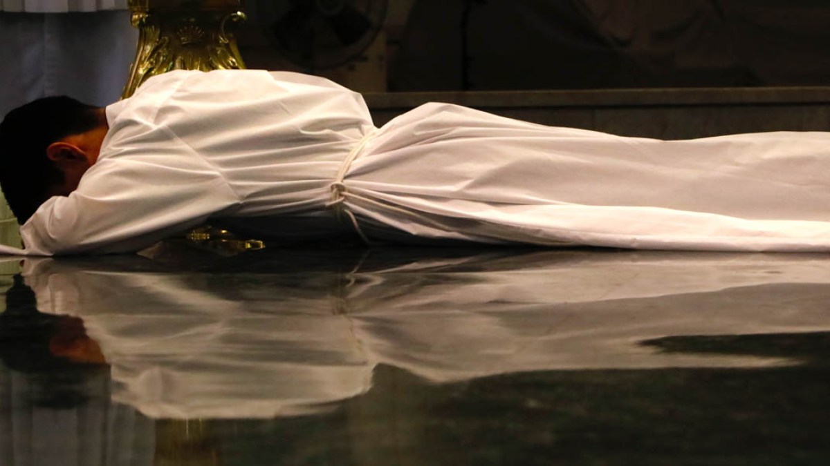LUIS PROSTRATE