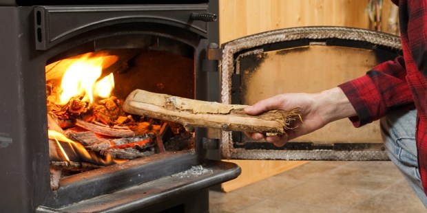 MAN,LOG,WOOD,FIRE,FIREPLACE