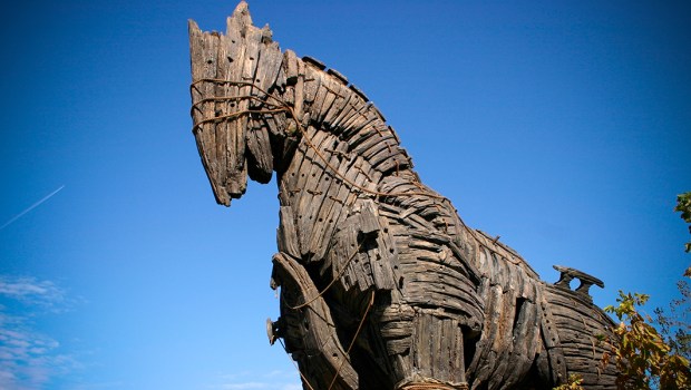 TROJAN HORSE