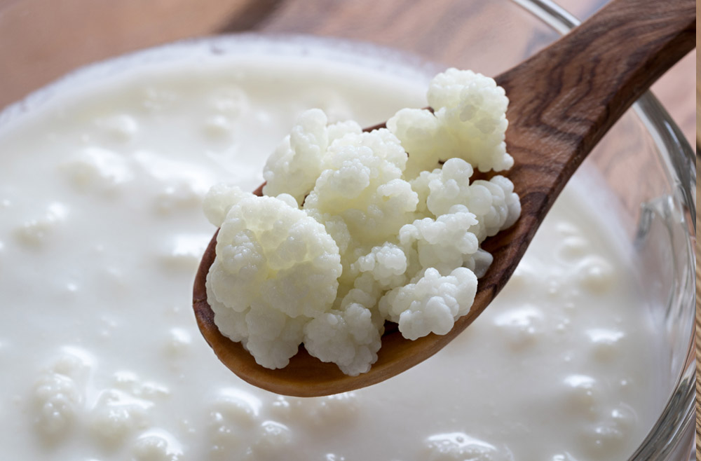 KEFIR,YOGURT,FERMENTED