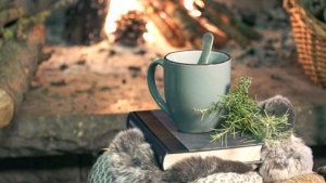 MUG NEAR FIREPLACE