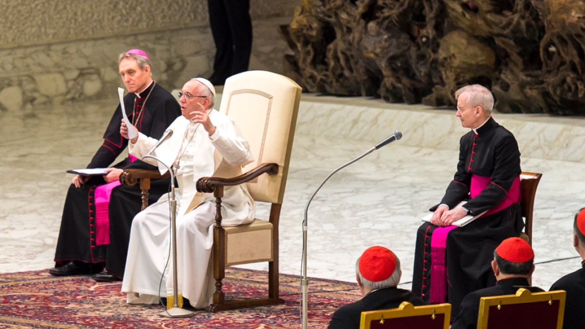 Pope Francis Audience