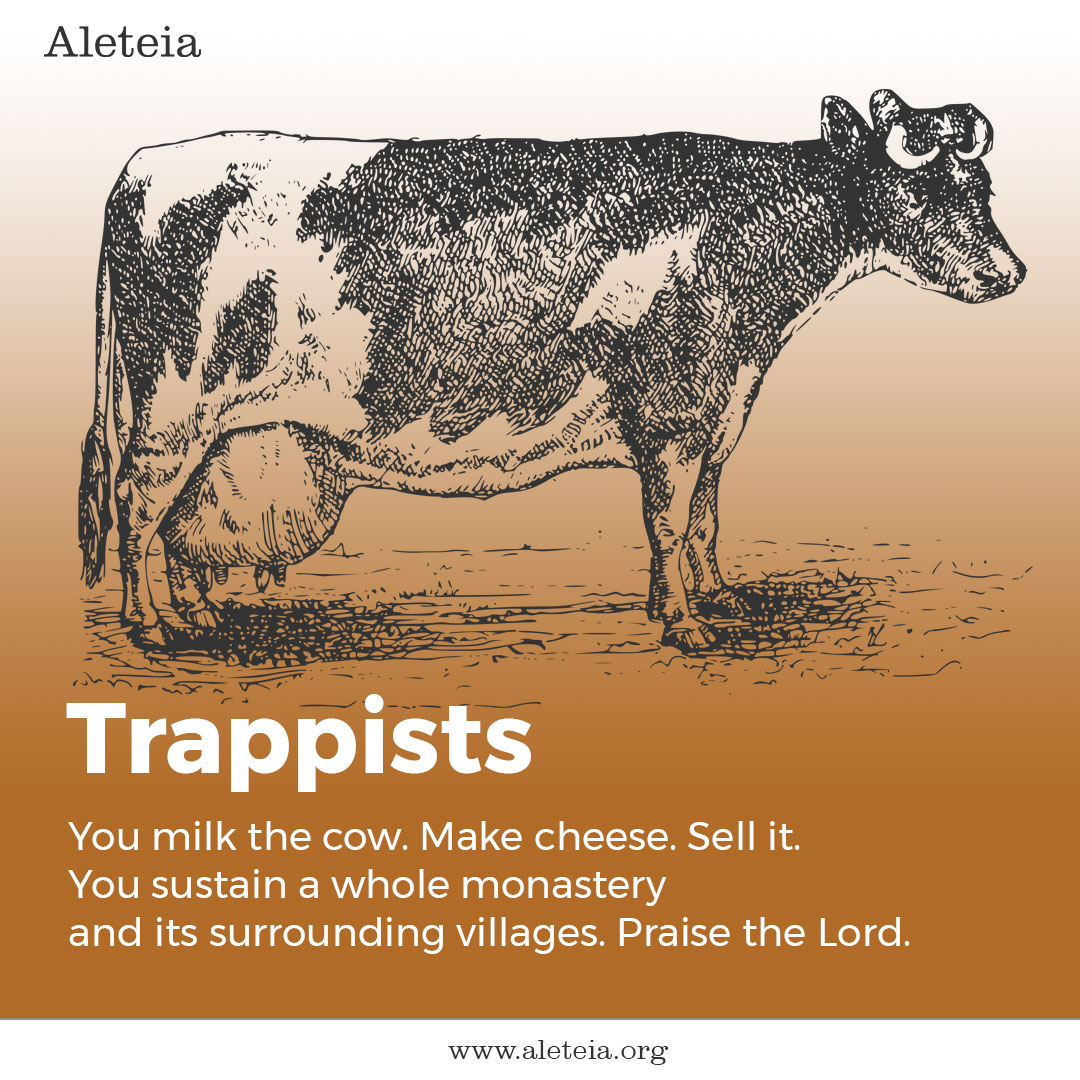 (slideshow) This cow explains Catholic religious orders and congregations better than most textbooks