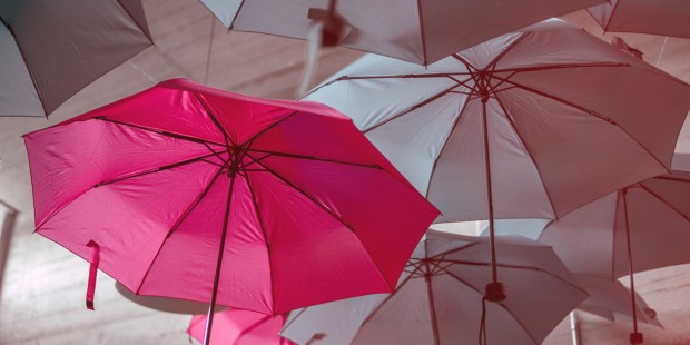 UMBRELLA